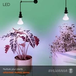 SYLVANIA General Lighting 40071 BR30 Ultra, Frosted Finish, 18 Watts LED Grow Lamp -Garden Supply Store 51FPRDhiYgL