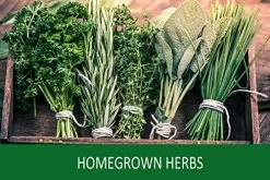 Seed Starter Peat Pots Tray – Kate Naturals. Germination Seedling Trays. Includes 10 Plastic Plant Markers. 5 Pack – 50… -Garden Supply Store 51FUr3CiOwL