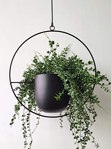 RISEON Boho Black Metal Plant Hanger,Metal Wall And Ceiling Hanging Planter, Modern Planter, Mid Century Flower Pot… 1 RISEON Boho Black Metal Plant Hanger,Metal Wall And Ceiling Hanging Planter, Modern Planter, Mid Century Flower Pot…