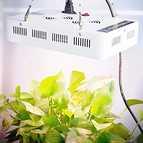 Full Spectrum LED Grow Light 1500W Sunshine COB LED Grow Light, X5 COB LED Plant Light For Growing Fresh Herbs… 6 Full Spectrum LED Grow Light 1500W Sunshine COB LED Grow Light, X5 COB LED Plant Light For Growing Fresh Herbs… - Image 6