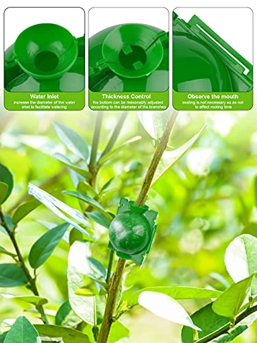 12PCS Plant Root Growing Box Kalolary Reusable Plant Rooting Device Air Layering Pods High-Pressure Propagation Ball Grafting Botany Root Ball For Plants Reproduction For Indoor Outdoor Plant (Small) 3 12PCS Plant Root Growing Box Kalolary Reusable Plant Rooting Device Air Layering Pods High-Pressure Propagation Ball Grafting Botany Root Ball For Plants Reproduction For Indoor Outdoor Plant (Small) - Image 3