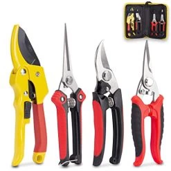 KOTTO 4 Packs Pruner Shears Garden Cutter Clippers, Stainless Steel Sharp Pruner Secateurs, Professional Bypass Pruning…