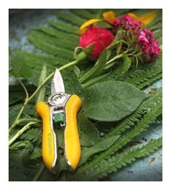 Colibri Pruner Flower Secateurs 170 Mm Pruning Shears Garden Plant Scissors With Soft-Touch Handle, Trimmer Shears… -Garden Supply Store 51L8kj2H1EL