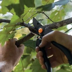 Fiskars Pro Bypass Pruner (91246935J) -Garden Supply Store 51My 4xSilL