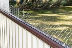 Bird Blinder Stainless Steel Bird Spikes For Pigeons And Other Small Birds – Industrial Design Contains No Plastic – (11… 11 Bird Blinder Stainless Steel Bird Spikes For Pigeons And Other Small Birds – Industrial Design Contains No Plastic – (11… -Garden Supply Store 51NY327zp7L