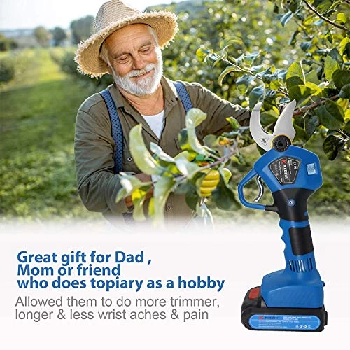 K KLEZHI 1.2Inch/30mm Professional Sharp Cordless Electric Pruning Shears,2PCS Backup Rechargeable 2Ah Lithium Battery… 2 K KLEZHI 1.2Inch/30mm Professional Sharp Cordless Electric Pruning Shears,2PCS Backup Rechargeable 2Ah Lithium Battery… - Image 2