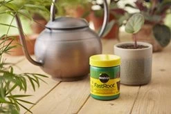 Miracle-Gro FastRoot Dry Powder Rooting Hormone Jar, 1-1/4-Ounce 6 Miracle-Gro FastRoot Dry Powder Rooting Hormone Jar, 1-1/4-Ounce -Garden Supply Store 51OHLq2BG0YL