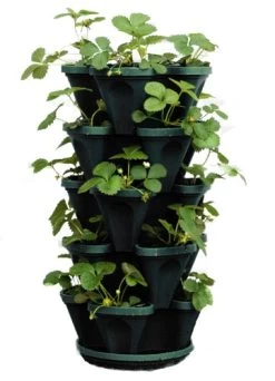 5-Tier Stackable Strawberry, Herb, Flower, & Vegetable Planter – Vertical Gardening Indoor/Outdoor Stacking Garden Pots…