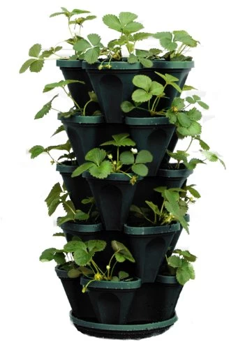 5-Tier Stackable Strawberry, Herb, Flower, & Vegetable Planter – Vertical Gardening Indoor/Outdoor Stacking Garden Pots… 1 5-Tier Stackable Strawberry, Herb, Flower, & Vegetable Planter – Vertical Gardening Indoor/Outdoor Stacking Garden Pots…