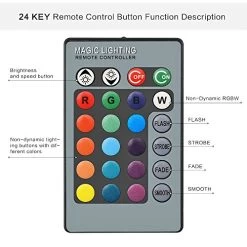 RGB Lawn Flood Light Stake, Ourleeme 2-in-1 Waterproof Outdoor Remote Controll Landscape Lighting Spotlight Wall Light… -Garden Supply Store 51Q7eDZIMoL