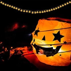 LUMINATERY Jack O’ Lantern Halloween Pumpkin Lantern String Lights, 30LED 8 Lighting Modes, Remote Control, Battery… -Garden Supply Store 51T6HX0lsdL