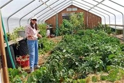 Greenhouse Plastic Film Transparent Polyethylene Cover Uv Resistant, 18 M Wide (59 Ft) -Garden Supply Store 51TpJZVjX L