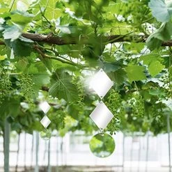 Bird Repellent Reflective Dual Sided Discs- 24pcs Bird Scare Like Mirrors All Birds Away Like Woodpeckers Pigeons And… -Garden Supply Store 51Vo6Qt3IWL