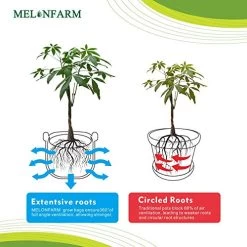 MELONFARM 5-Pack 10 Gallon Grow Bags Heavy Duty Aeration Fabric Pots,Thickened Non-Woven With Durable Handles, For Plant… -Garden Supply Store 51X7EluXcGL