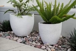 Canary Products PL1515GR Xbrand Modern Nested Grey Round Flower Pot Planter, , 14 Inch & 12 Inch Tall -Garden Supply Store 51ZphzLdQPL