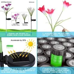 Outdoor Solar Garden Stake Lights,2 Pack Solar Powered Flower Lights With Multi-Color Auto-Changing For Garden, Multi… -Garden Supply Store 51ZvqtIoO9L