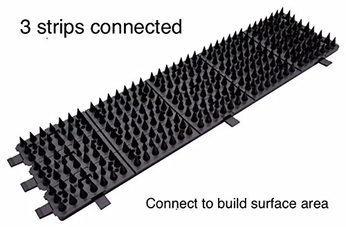 Critter Pricker Raccoon Deterrent Proven Humane Dog Cat Garden Wall Defender And Pest Control 10 Connectable Spikes On… 3 Critter Pricker Raccoon Deterrent Proven Humane Dog Cat Garden Wall Defender And Pest Control 10 Connectable Spikes On… - Image 3