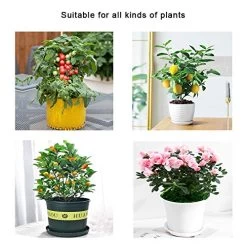 Sirozi 4 Pack Plant Insect Bird Barrier Net Mesh With Drawstring, 3.5Ftx2.3Ft Plant Protective Cover Garden Flower… -Garden Supply Store 51a5FE1LleL