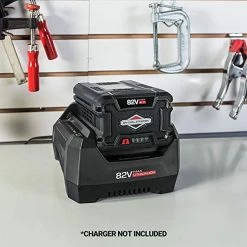 Snapper XD BSB2AH82 82V, 2.0Ah Lithium Ion Battery For 82V Cordless Tools, 1760266 -Garden Supply Store 51cu2BV ndeL