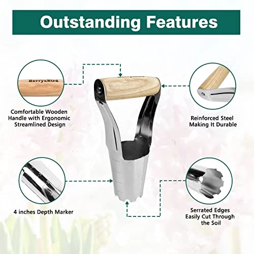 Berry&Bird Garden Bulb Planter With 4 Inches Depth Mark, Stainless Steel Gardening Bulb Transplanter Tool With Short… 3 Berry&Bird Garden Bulb Planter With 4 Inches Depth Mark, Stainless Steel Gardening Bulb Transplanter Tool With Short… - Image 3