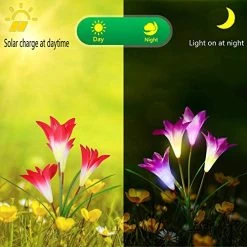 Solar Lights Outdoor – New Upgraded Solar Garden Lights, Multi-Color Auto-Changing 8 Bigger Lily Flower Decorative… 13 Solar Lights Outdoor – New Upgraded Solar Garden Lights, Multi-Color Auto-Changing 8 Bigger Lily Flower Decorative… -Garden Supply Store 51dux67rCbL