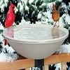 Allied Precision API 650 Heated Bird Bath With Mounting Bracket