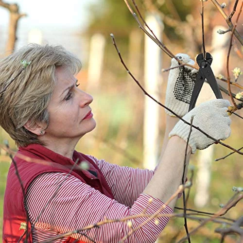 Professional Grade Bonsai Tools Trunk Splitter Manganese Steel Alloy Gardening Bonsai Tools With Ergonomic Handle 5 Professional Grade Bonsai Tools Trunk Splitter Manganese Steel Alloy Gardening Bonsai Tools With Ergonomic Handle - Image 5