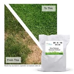 Slow Release Granular Lawn Fertilizer – Advanced Nutrients, Turf & Lawn Fertilizer, 25-5-10 65% – 20kg Bag 9 Slow Release Granular Lawn Fertilizer – Advanced Nutrients, Turf & Lawn Fertilizer, 25-5-10 65% – 20kg Bag -Garden Supply Store 51fXDnQca4L