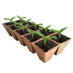 Seed Starter Peat Pots Kit | Germination Seedling Trays Are Biodegradable And Organic | 10 Plastic Plant Markers… -Garden Supply Store 51gu1TKiNJL