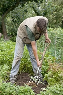 Bosmere Spear And Jackson R720 Traditional Mirror Finish Stainless Steel Head Border Fork -Garden Supply Store 51h1biKEOML