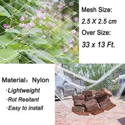 33 X 13 Ft Anti Bird Net Anti Bird Mesh Netting Anti Bird Protection Net For Garden Plant Fruit Crop Cage Protection… -Garden Supply Store 51hX6J5lRAL