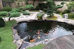 Pond H2O LDPE Black Pond Liner, 13’1” X 16’4” (4m X5m) For All Types Of Budget Uses Great Value Water Garden Koi Fish… -Garden Supply Store 51jpHNn eYL
