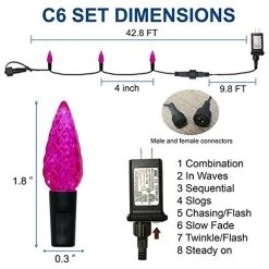 Twinkle Star C6 Halloween String Lights, 100 LED 33ft Fairy Lights With 29V Safe Adapter, Indoor Outdoor Black Wire… -Garden Supply Store 51kISGbVi9L