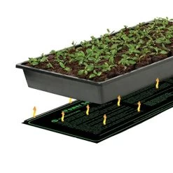 IPower GLHTMTCTRLHTMTS Warm Hydroponic Seedling Heat Mat, Black S, 10” X 20.5 -Garden Supply Store 51mcOEu8nYL