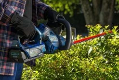 Zombi Power Tools ZCS12017 13-Amp Corded Electric Chainsaw With Oregon Bar & Chain, Black/Blue, 16″, 120-Volt -Garden Supply Store 51o F2Bv9pPL