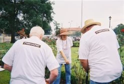 Fiskars 8 Inch Shrub Rake (96615935J) -Garden Supply Store 51pQFjjzTdL