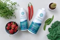 MARPHYL Organic Liquid Fertilizer – Indoor & Outdoor House Plant Fertilizer – All-Purpose Nutrient-Rich Plant Food… -Garden Supply Store 51rDQuhZ0gL