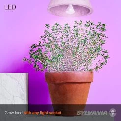 SYLVANIA General Lighting 40071 BR30 Ultra, Frosted Finish, 18 Watts LED Grow Lamp -Garden Supply Store 51s8wC5ZHbL