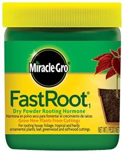 Miracle-Gro FastRoot Dry Powder Rooting Hormone Jar, 1-1/4-Ounce