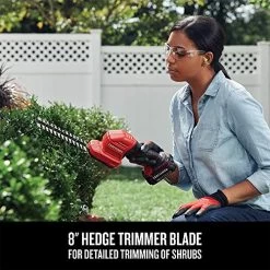 CRAFTSMAN V20 Cordless Handheld Grass Trimmer And Mini Hedge Trimmer Kit (CMCSS800C1) -Garden Supply Store 51uwhvooOUL