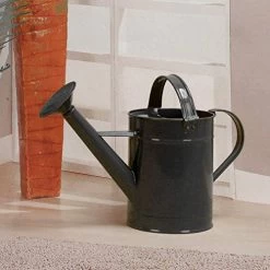 Asvert Metal Watering Can Modern Anti-Rust Watering Pot With Long Spout For Indoor Outdoor House Plants Watering Use 0… 10 Asvert Metal Watering Can Modern Anti-Rust Watering Pot With Long Spout For Indoor Outdoor House Plants Watering Use 0… -Garden Supply Store 51uya5bPO8L
