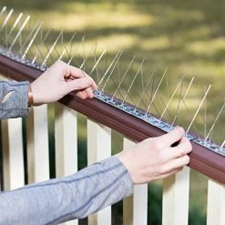 Bird Blinder Stainless Steel Bird Spikes For Pigeons And Other Small Birds – Industrial Design Contains No Plastic – (11… 10 Bird Blinder Stainless Steel Bird Spikes For Pigeons And Other Small Birds – Industrial Design Contains No Plastic – (11… -Garden Supply Store 51vAAV9KztL