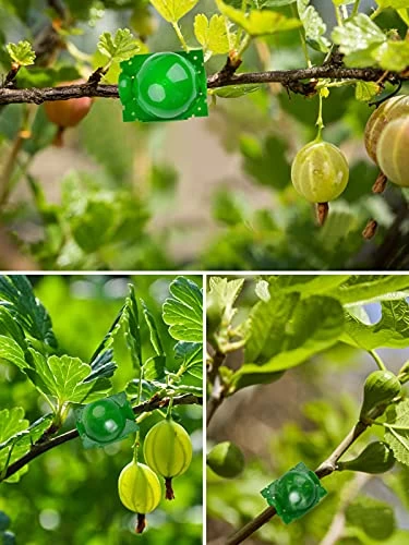 12PCS Plant Root Growing Box Kalolary Reusable Plant Rooting Device Air Layering Pods High-Pressure Propagation Ball Grafting Botany Root Ball For Plants Reproduction For Indoor Outdoor Plant (Small) 7 12PCS Plant Root Growing Box Kalolary Reusable Plant Rooting Device Air Layering Pods High-Pressure Propagation Ball Grafting Botany Root Ball For Plants Reproduction For Indoor Outdoor Plant (Small) - Image 7