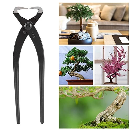 Professional Grade Bonsai Tools Trunk Splitter Manganese Steel Alloy Gardening Bonsai Tools With Ergonomic Handle 7 Professional Grade Bonsai Tools Trunk Splitter Manganese Steel Alloy Gardening Bonsai Tools With Ergonomic Handle - Image 7
