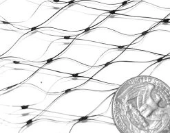 Easy Gardener 15991 Ross 26’x30′ Tree Netting -Garden Supply Store 51w8Puttb L