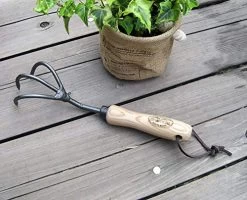 Tierra Garden Dewit “Fantastic Four” 3-Tine Cultivator With Short Handle, Works As Garden Hoe And Tiller, For Gardeners -Garden Supply Store 51wkrA4mNgL