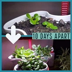 MARPHYL Organic Liquid Fertilizer – Indoor & Outdoor House Plant Fertilizer – All-Purpose Nutrient-Rich Plant Food… -Garden Supply Store 51wmgW5Ch8L