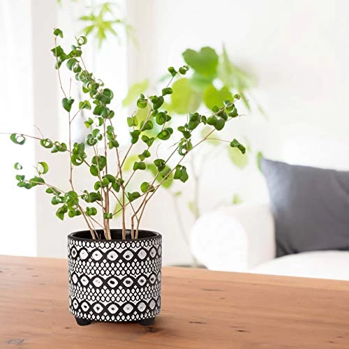 Set Of 2 Planter Pots, 4 Inch & 6 Inch, Modern Design Ceramic Plants Pot With Drainage Hole, Gold/White 6 Set Of 2 Planter Pots, 4 Inch & 6 Inch, Modern Design Ceramic Plants Pot With Drainage Hole, Gold/White - Image 6