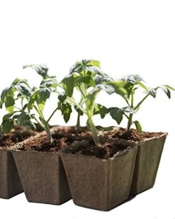 Seed Starter Peat Pots Kit | Germination Seedling Trays Are Biodegradable And Organic | 10 Plastic Plant Markers… -Garden Supply Store 51z4ADS8jdL