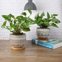 5.5in Geometry Ceramic Planter Large Round Succulent Planter Flower Pot Indoor And Outdoor Brown Set Of 2 9 5.5in Geometry Ceramic Planter Large Round Succulent Planter Flower Pot Indoor And Outdoor Brown Set Of 2 -Garden Supply Store 51zTqGDD2bL